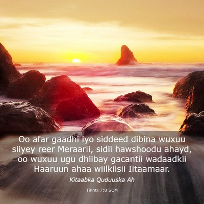 Picture 03 - Tirintii 7:8 SOM - Oo afar gaadhi iyo siddeed dibina wuxuu siiyey - Bible Verse Picture