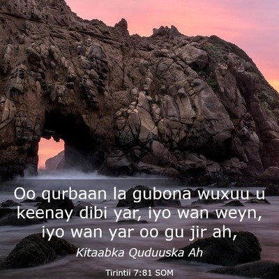 Picture 03 - Tirintii 7:81 SOM - Oo qurbaan la gubona wuxuu u keenay dibi yar, iyo - Bible Verse Picture