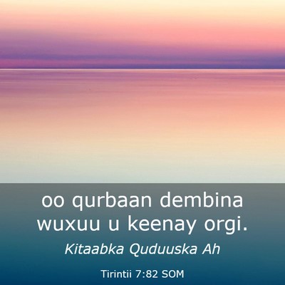 Picture 03 - Tirintii 7:82 SOM - oo qurbaan dembina wuxuu u keenay - Bible Verse Picture