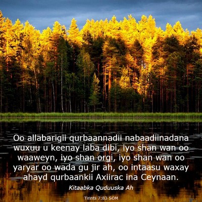 Picture 03 - Tirintii 7:83 SOM - Oo allabarigii qurbaannadii nabaadiinadana wuxuu - Bible Verse Picture