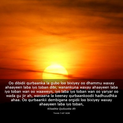 Picture 03 - Tirintii 7:87 SOM - Oo dibidii qurbaanka la gubo loo bixiyey oo - Bible Verse Picture