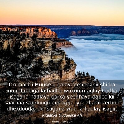 Picture 03 - Tirintii 7:89 SOM - Oo markii Muuse u galay teendhadii shirka inuu - Bible Verse Picture