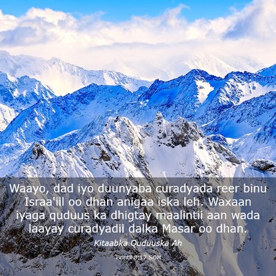 Picture 03 - Tirintii 8:17 SOM - Waayo, dad iyo duunyaba curadyada reer binu - Bible Verse Picture