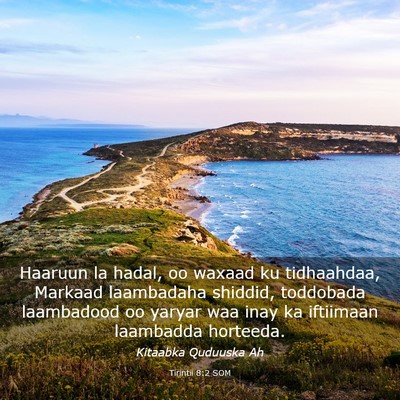 Picture 03 - Tirintii 8:2 SOM - Haaruun la hadal, oo waxaad ku tidhaahdaa, - Bible Verse Picture