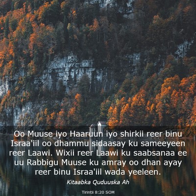 Picture 03 - Tirintii 8:20 SOM - Oo Muuse iyo Haaruun iyo shirkii reer binu - Bible Verse Picture