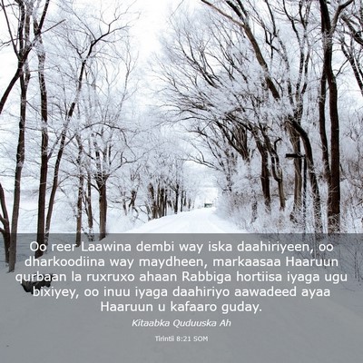 Picture 03 - Tirintii 8:21 SOM - Oo reer Laawina dembi way iska daahiriyeen, oo - Bible Verse Picture