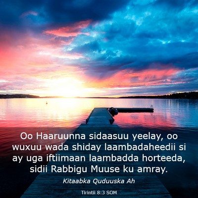 Picture 03 - Tirintii 8:3 SOM - Oo Haaruunna sidaasuu yeelay, oo wuxuu wada - Bible Verse Picture