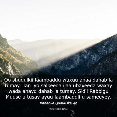 Picture 03 - Tirintii 8:4 SOM - Oo shuqulkii laambaddu wuxuu ahaa dahab la tumay. - Bible Verse Picture