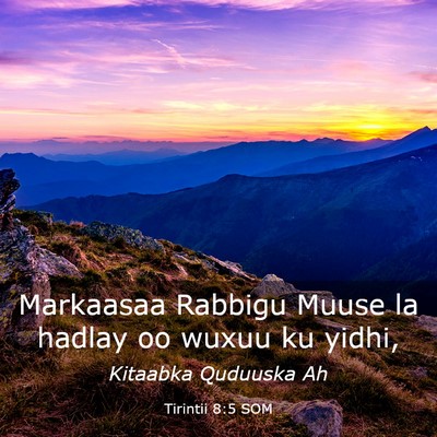 Picture 03 - Tirintii 8:5 SOM - Markaasaa Rabbigu Muuse la hadlay oo wuxuu ku - Bible Verse Picture