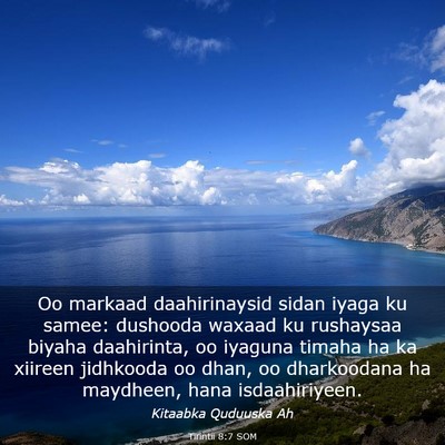 Picture 03 - Tirintii 8:7 SOM - Oo markaad daahirinaysid sidan iyaga ku samee: - Bible Verse Picture
