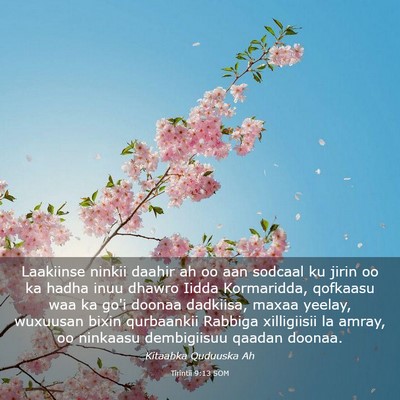 Picture 03 - Tirintii 9:13 SOM - Laakiinse ninkii daahir ah oo aan sodcaal ku - Bible Verse Picture