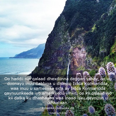 Picture 03 - Tirintii 9:14 SOM - Oo haddii nin qalaad dhexdiinna deggan yahay, oo - Bible Verse Picture