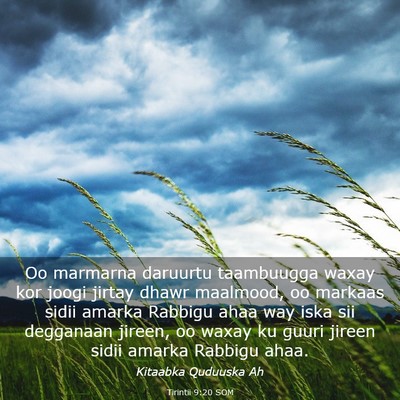 Picture 03 - Tirintii 9:20 SOM - Oo marmarna daruurtu taambuugga waxay kor joogi - Bible Verse Picture