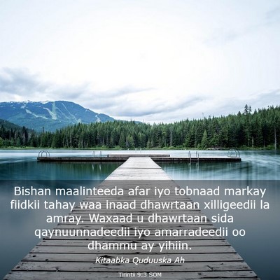 Picture 03 - Tirintii 9:3 SOM - Bishan maalinteeda afar iyo tobnaad markay - Bible Verse Picture