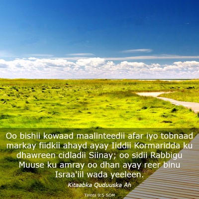 Picture 03 - Tirintii 9:5 SOM - Oo bishii kowaad maalinteedii afar iyo tobnaad - Bible Verse Picture