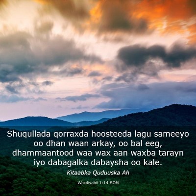 Picture 03 - Wacdiyahii 1:14 SOM - Shuqullada qorraxda hoosteeda lagu sameeyo oo - Bible Verse Picture