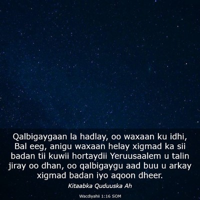 Picture 03 - Wacdiyahii 1:16 SOM - Qalbigaygaan la hadlay, oo waxaan ku idhi, Bal - Bible Verse Picture
