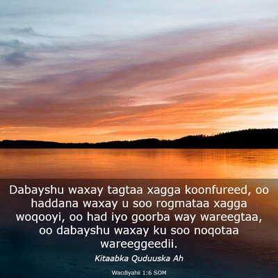 Picture 03 - Wacdiyahii 1:6 SOM - Dabayshu waxay tagtaa xagga koonfureed, oo - Bible Verse Picture
