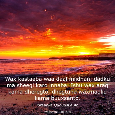 Picture 03 - Wacdiyahii 1:8 SOM - Wax kastaaba waa daal miidhan, dadku ma sheegi - Bible Verse Picture