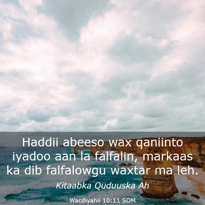 Picture 03 - Wacdiyahii 10:11 SOM - Haddii abeeso wax qaniinto iyadoo aan la - Bible Verse Picture