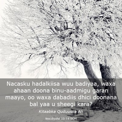 Picture 03 - Wacdiyahii 10:14 SOM - Nacasku hadalkiisa wuu badiyaa, waxa ahaan doona - Bible Verse Picture