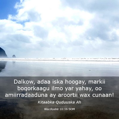 Picture 03 - Wacdiyahii 10:16 SOM - Dalkow, adaa iska hoogay, markii boqorkaagu ilmo - Bible Verse Picture