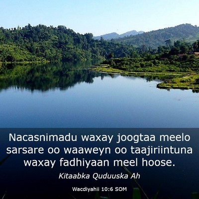 Picture 03 - Wacdiyahii 10:6 SOM - Nacasnimadu waxay joogtaa meelo sarsare oo - Bible Verse Picture