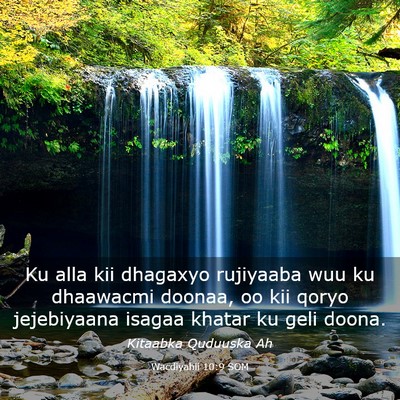 Picture 03 - Wacdiyahii 10:9 SOM - Ku alla kii dhagaxyo rujiyaaba wuu ku dhaawacmi - Bible Verse Picture