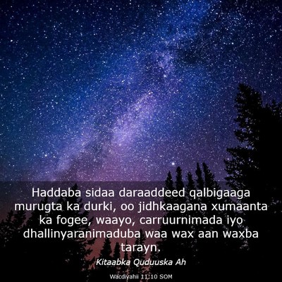 Picture 03 - Wacdiyahii 11:10 SOM - Haddaba sidaa daraaddeed qalbigaaga murugta ka - Bible Verse Picture