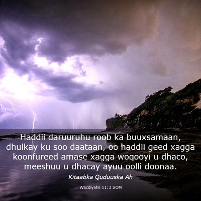 Picture 03 - Wacdiyahii 11:3 SOM - Haddii daruuruhu roob ka buuxsamaan, dhulkay ku - Bible Verse Picture