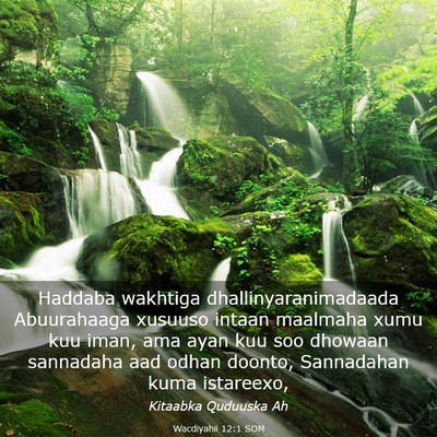 Picture 03 - Wacdiyahii 12:1 SOM - Haddaba wakhtiga dhallinyaranimadaada Abuurahaaga - Bible Verse Picture
