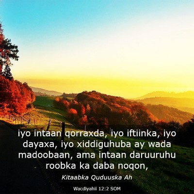 Picture 03 - Wacdiyahii 12:2 SOM - iyo intaan qorraxda, iyo iftiinka, iyo dayaxa, - Bible Verse Picture