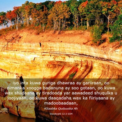Picture 03 - Wacdiyahii 12:3 SOM - iyo inta kuwa guriga dhawraa ay gariiraan, oo - Bible Verse Picture