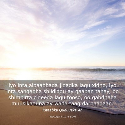 Picture 03 - Wacdiyahii 12:4 SOM - iyo inta albaabbada jidadka lagu xidho, iyo inta - Bible Verse Picture
