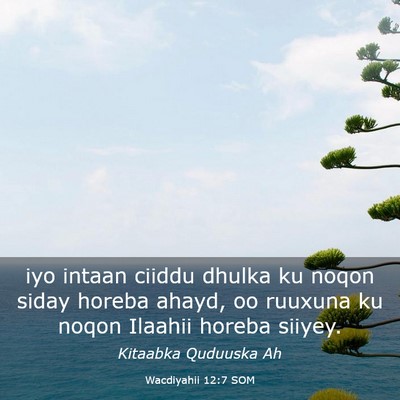 Picture 03 - Wacdiyahii 12:7 SOM - iyo intaan ciiddu dhulka ku noqon siday horeba - Bible Verse Picture