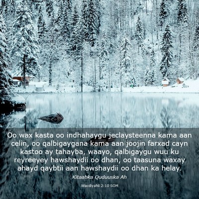 Picture 03 - Wacdiyahii 2:10 SOM - Oo wax kasta oo indhahaygu jeclaysteenna kama aan - Bible Verse Picture