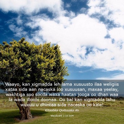 Picture 03 - Wacdiyahii 2:16 SOM - Waayo, kan xigmadda leh lama xusuusto ilaa - Bible Verse Picture