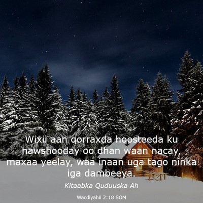 Picture 03 - Wacdiyahii 2:18 SOM - Wixii aan qorraxda hoosteeda ku hawshooday oo - Bible Verse Picture