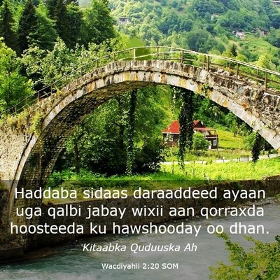 Picture 03 - Wacdiyahii 2:20 SOM - Haddaba sidaas daraaddeed ayaan uga qalbi jabay - Bible Verse Picture