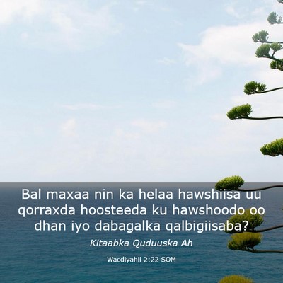 Picture 03 - Wacdiyahii 2:22 SOM - Bal maxaa nin ka helaa hawshiisa uu qorraxda - Bible Verse Picture