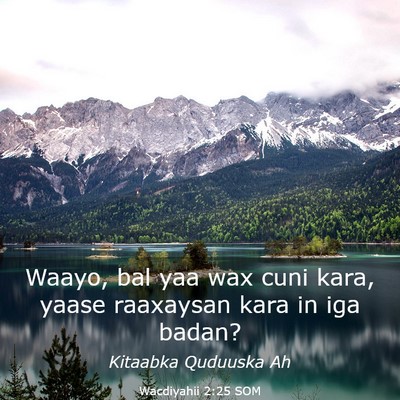 Picture 03 - Wacdiyahii 2:25 SOM - Waayo, bal yaa wax cuni kara, yaase raaxaysan - Bible Verse Picture