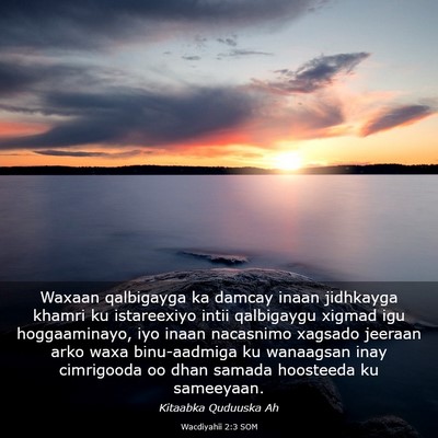 Picture 03 - Wacdiyahii 2:3 SOM - Waxaan qalbigayga ka damcay inaan jidhkayga - Bible Verse Picture