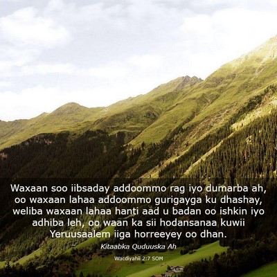 Picture 03 - Wacdiyahii 2:7 SOM - Waxaan soo iibsaday addoommo rag iyo dumarba ah, - Bible Verse Picture