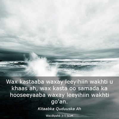 Picture 03 - Wacdiyahii 3:1 SOM - Wax kastaaba waxay leeyihiin wakhti u khaas ah, - Bible Verse Picture