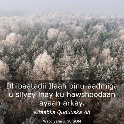 Picture 03 - Wacdiyahii 3:10 SOM - Dhibaatadii Ilaah binu-aadmiga u siiyey inay ku - Bible Verse Picture