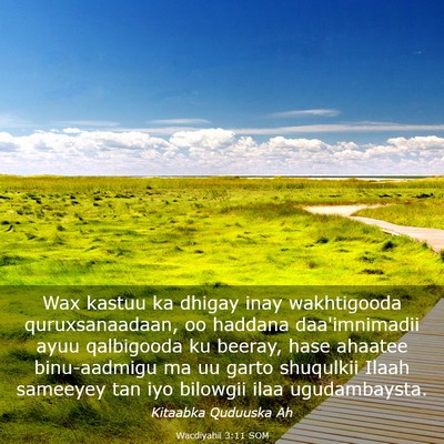 Picture 03 - Wacdiyahii 3:11 SOM - Wax kastuu ka dhigay inay wakhtigooda - Bible Verse Picture