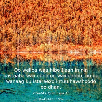 Picture 03 - Wacdiyahii 3:13 SOM - Oo weliba waa hibo Ilaah in nin kastaaba wax cuno - Bible Verse Picture