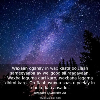 Picture 03 - Wacdiyahii 3:14 SOM - Waxaan ogahay in wax kasta oo Ilaah sameeyaaba ay - Bible Verse Picture