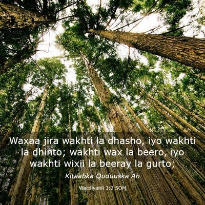 Picture 03 - Wacdiyahii 3:2 SOM - Waxaa jira wakhti la dhasho, iyo wakhti la - Bible Verse Picture