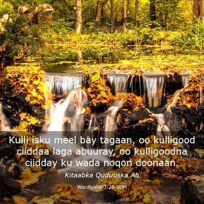 Picture 03 - Wacdiyahii 3:20 SOM - Kulli isku meel bay tagaan, oo kulligood ciiddaa - Bible Verse Picture